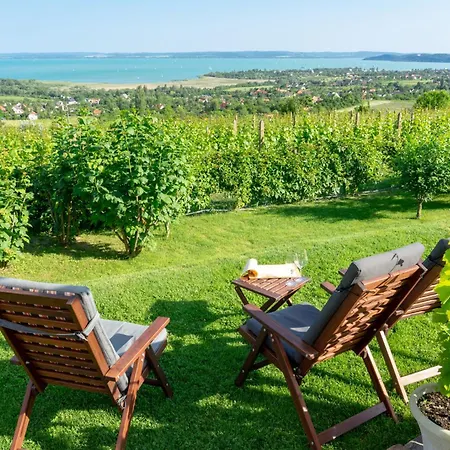 In - Balaton 54882