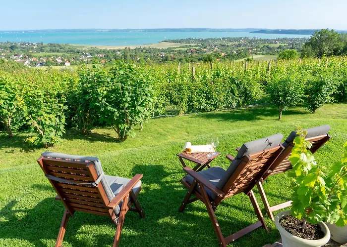 In - Balaton 54882