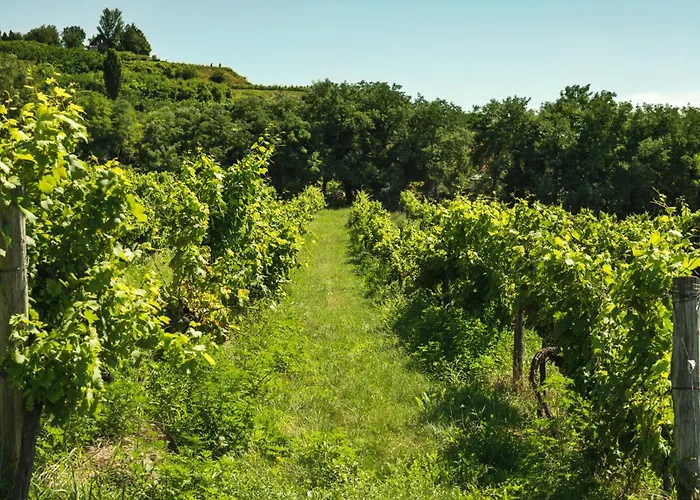 Διαμέρισμα In - Balaton 54882 Csopak